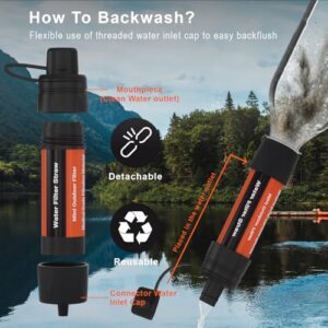 2 Pack Water Filter Straw – Portable, Compact, Multipurpose Water Purification Device for Emergency Kits, Outdoor Activities, Camping, Travel