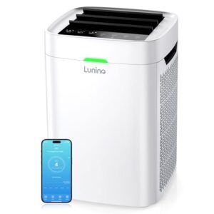 Air Purifiers for Home Large Room Up to 2600 Ft², Double-Sided HEPA Air Purifier with Washable Pre-filter, Fan Mode, Smart WiFi, PM 2.5 Air Quality Monitor, for Pets Hair, Dust, Pollen, Smoke