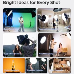 Amaran Light Box 30×120, 1x4ft(30x120cm) Foldable Rectangular Softbox with Bowens Mount for Portrait & Full-Length Photography, Includes Diffusion, Light Control Grid, & Carrying Bag