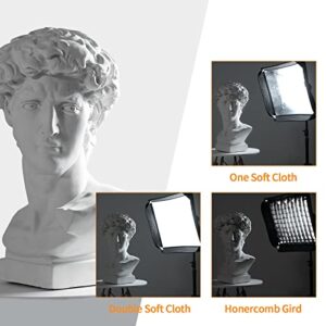 Godox 32″x 32″ 80cmx80cm Foldable Portable Softbox with S-Type Bracket Bowens Mount Holder and Honeycomb Grid for Photography Studio Strobe Flash Speedlite Speedlight