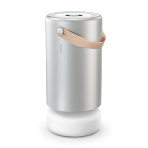 Molekule Air Pro Air Purifier – Purifies Rooms Up to 1000 Sq Ft with High Foot Traffic – FDA Cleared for Destruction of Viruses, Bacteria & Mold – Silver