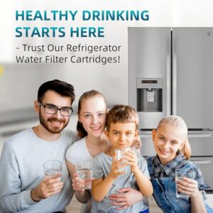 DA97-17376B Replacement For Samsung Water Filter HAF-QIN/EXP, Fit RF28T5001SR, RF23M8590SG, RF23M8070SG, RF24R7201SR, RF28R7351SG, RF28R7351SR, RF28R6201SR, BRF425200AP Water Filter 2-Pack