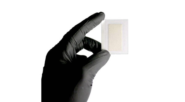 Crime Scene Semen Detection Test, Single Pack - Image 6