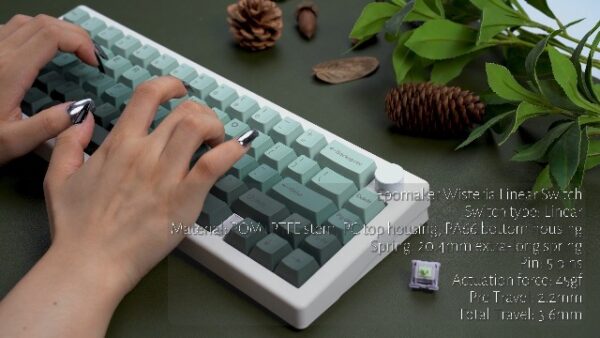 EPOMAKER Budgerigar 35 Pieces 47gf Tactile Mechanical Keyboard Switches Set, 55gf Initial Force Factory Lubed Switch with POM Stem, Dual Spring, Nylon Housing for Gaming DIY Keyboard - Image 8