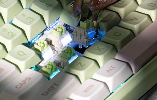 EPOMAKER x LEOBOG Reaper Keyboard Switches, 100 Pcs 45gf Linear Switch Set, Factory Lubed 5-Pin Switch with POM Stem, LED Slot for Mechanical Gaming Keyboard, Compatible with MX Keycaps - Image 7