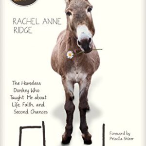 Flash: The Homeless Donkey Who Taught Me about Life, Faith, and Second Chances (Flash the Donkey) Paperback – October 1, 2016