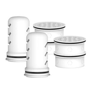 GLACIER FRESH Water Pitcher Filter Replacement for LS Home Dispenser & Pitcher Systems, Reduces Chlorine Taste & Odor, 2 Membrane & 4 Activated Carbon + Ion Exchange Filters