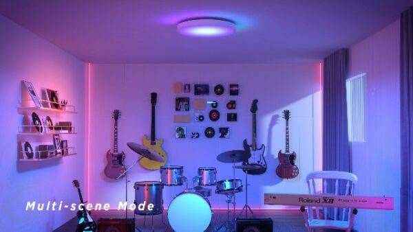 Govee Smart Ceiling Light, RGBIC LED Ceiling Light Fixture, 2400LM Flush Mount Light Fixture, DIY Colors, Works with Alexa, 2200K-6500K Ceiling Lights for Bedroom, Living Room, 12 Inch, 1 Pack - Image 8