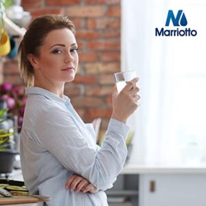 MARRIOTTO Compatible with Samsung DA29-00020B Refrigerator Water Filter, DA29-00020B, DA29-00020A, HAF-CIN/EXP, 46-9101 Refrigerator Water Filter, 4 Pack