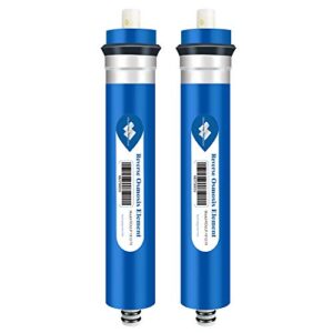 Membrane Solutions 75 GPD RO Membrane, Reverse Osmosis Membrane, RO Membrane Replacement, Reverse Osmosis Filter Replacement for Under Sink Home Drinking RO Water Purifier System (2 PACK)