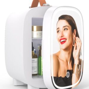 Mini Fridge for Bedroom Mirror Skincare Cooler & Warmer Portable Small Refrigerator 4 Liter/6 can with 12v AC/DC/USB Option for Food, Drinks, Makeup, Dorm, Office and Car