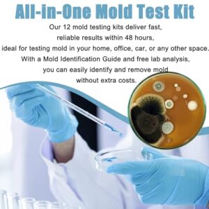 Mold Test Kit for Home 6 Simple Detection Tests, HVAC System, Home Surfaces, Indoor Air Quality Testing Kits, DIY Black Mold Detector at Home, Include Detailed Mold Identification Guide, Air Tester