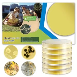 Mold Test Kit for Home – 6 Detection Tests,DIY Test Kit for Indoor Air and Household Surface Detection, Includes Detailed Mold Identification Guide and Free Lab Analysis