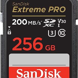 SanDisk 256GB Extreme PRO SDXC UHS-I Memory Card – C10, U3, V30, 4K UHD, SD Card – SDSDXXD-256G-GN4IN, Dark gray/Black