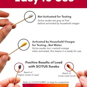 Scitus Know, Understand Lead Test Kit (300 Rapid Testing Swabs) 30-Second Results. Dip in Water. Home Use for All Surfaces – Painted, Dishes, Toys, Jewelry, Metal, Ceramics, Wood (FWM300)