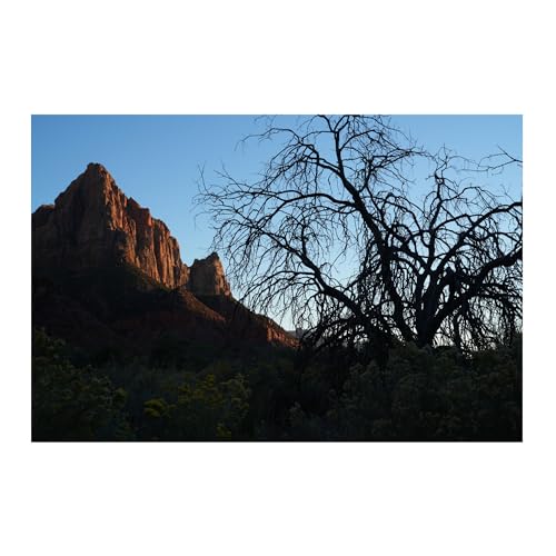 Sony FE 50mm F1.4 GM Lens (Sony E) - Image 6